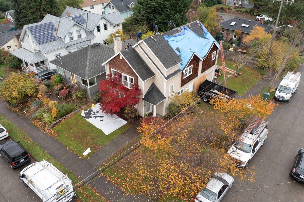 Allergy proofing Julie's Roof