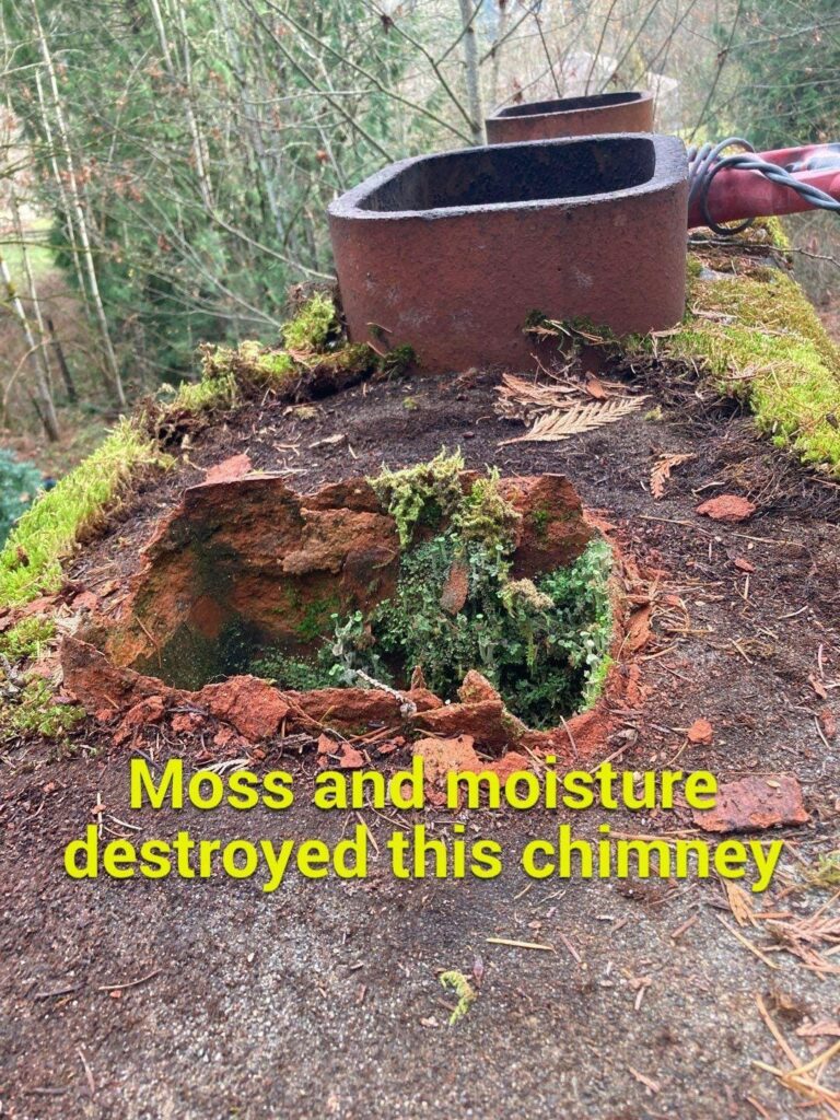 Moss & Moisture Destroyed Chimney