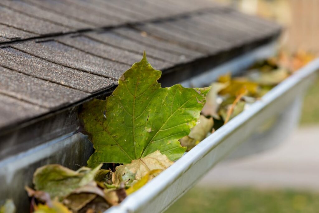 Leaves in Gutter