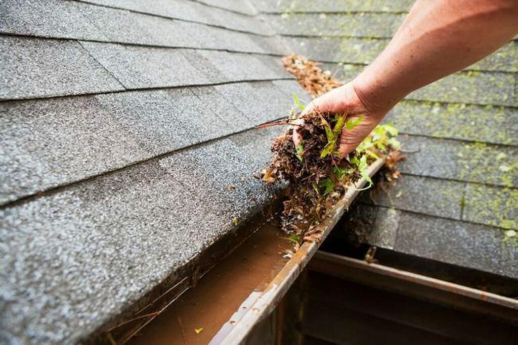 Gutter Cleaning